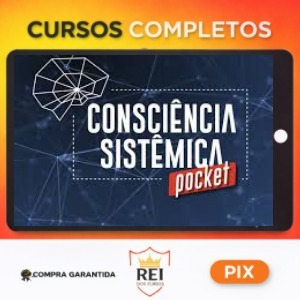 Consciência Sistêmica Pocket - Instituto Ibracs