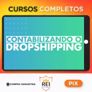 Contabilizando o Dropshipping - Talita Bicalho