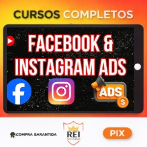 Curso Facebook e Instagram ADS - Ludy Amano