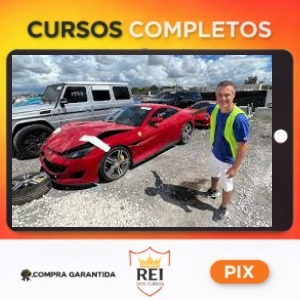 Leilões Auto USA  - Ruan Oliveira