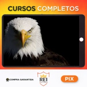 Mentoria  Águias Do Tiktok - Samuka