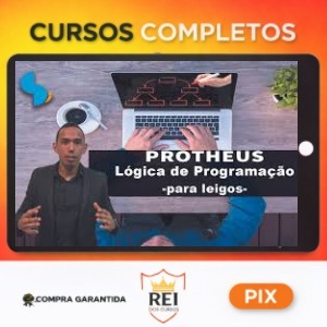 Protheus Lógica de Programação - Sistematizei
