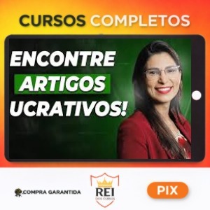 Workshop Renda em Dólar com Blogs - Cris Franklin